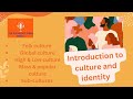 Types of culture  folk global high low mass popular  subcultures sociology