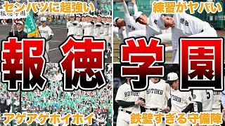 【アゲアゲホイホイ】報徳学園・野球部の面白エピソード50連発