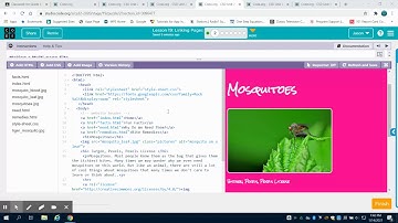 Code.org Lesson 18 & 19 Planning and Linking Pages Video 1