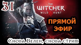 Прохождение The Witcher 3: Wild Hunt: Серия #31 - Снова Велен, снова стрим