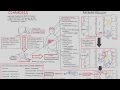 Liver Cirrhosis (SandS, Pathophysiology, Investigations, Management)
