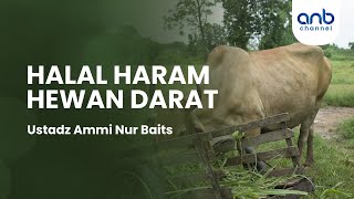 Halal Haram Hewan Darat | Ustadz Ammi Nur Baits