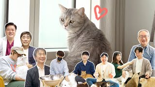 Save the Cats! [ENG SUB]