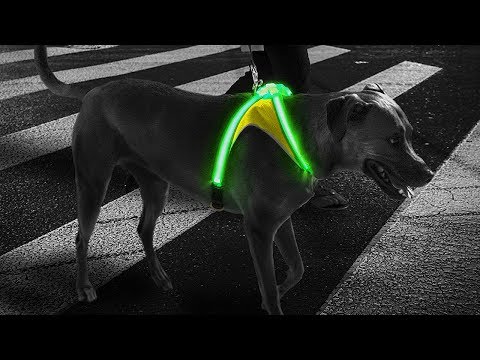 noxgear-lighthound-revolutionary-illuminated-and-reflective-harness-for-dogs