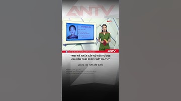 Truy nã nữ đối tượng mua bán trái phép chất ma tuý #antv #shorts #tintuc #matuy