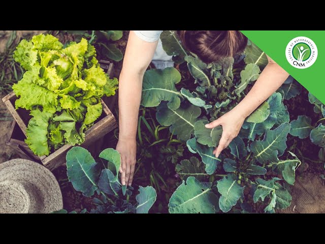 Food is more than vitamins and minerals
