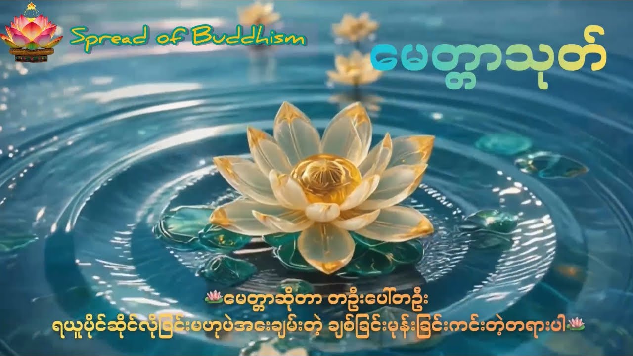 🌹မေတ္တာသုတ်(၉)ခေါက်🌷🙏🙏#တရားတော်များ #မေတ္တာသုတ် 