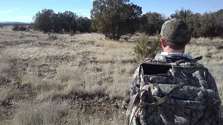 arizona mountain outfitters 2015 javelina hunt