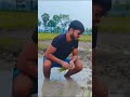 Bunni lagal pare  trending dance viralsong funny