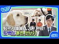 [선공개] 재난 현장에서 사람 30명 역할하는 구조견! &#39;토백이&#39;가 선보이는 기본 훈련#유퀴즈온더블럭 | YOU QUIZ ON THE BLOCK EP.185