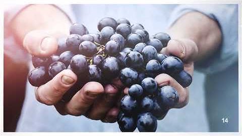 After Effects Project Files - Photo Flip Slideshow | VideoHive