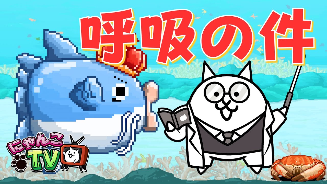 そら海様 まんまるにゃんこか✖️3 にゃんこTV】マンボウコラボ爆誕【にゃんこ大戦争公式】 - YouTube