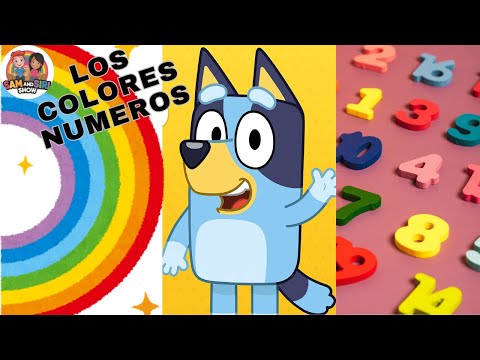 Bluey Makes Learning