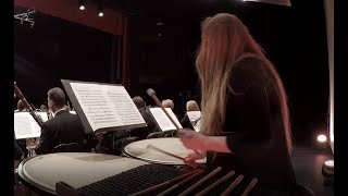 J. Haydn Symphony No. 94 In G Major, The Surprise