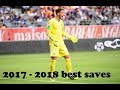 Benjamin lecomte la relve  best saves  20172018