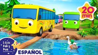 Cruzemos el rio juntos  Caricaturas de autobuses  Canciones infantiles Español