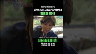 영양만점 고추장 삭히는데 필요한... 도넛??  [레트로1분예능]