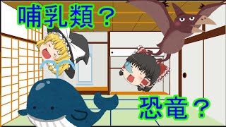 【ゆっくり解説】全生物の進化を見ていこう(2/7)