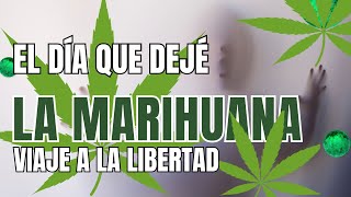 Como dejar la MARIHUANA**. Que pasa al dejarla #marihuanamedicinal #salud by SALUD IA  15 views 1 month ago 8 minutes, 44 seconds