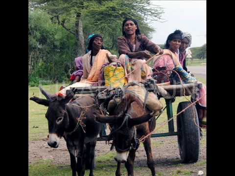 ጌታቸው ካሳ እወደሻለው Getachew Kassa Wedshalew