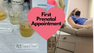 First Prenatal Appointment Confirming My Positive At Home Pregnancy Test