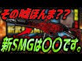 【ダウト】新武器SMGが強武器すぎてヤバい。『3発キルあり無反動＆高火力』【CoD:BO7】