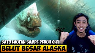 BELUT HIJAU ALASKA RAKSASA PENGUASA LAUTAN - FEED AND GROW FISH INDONESIA #23