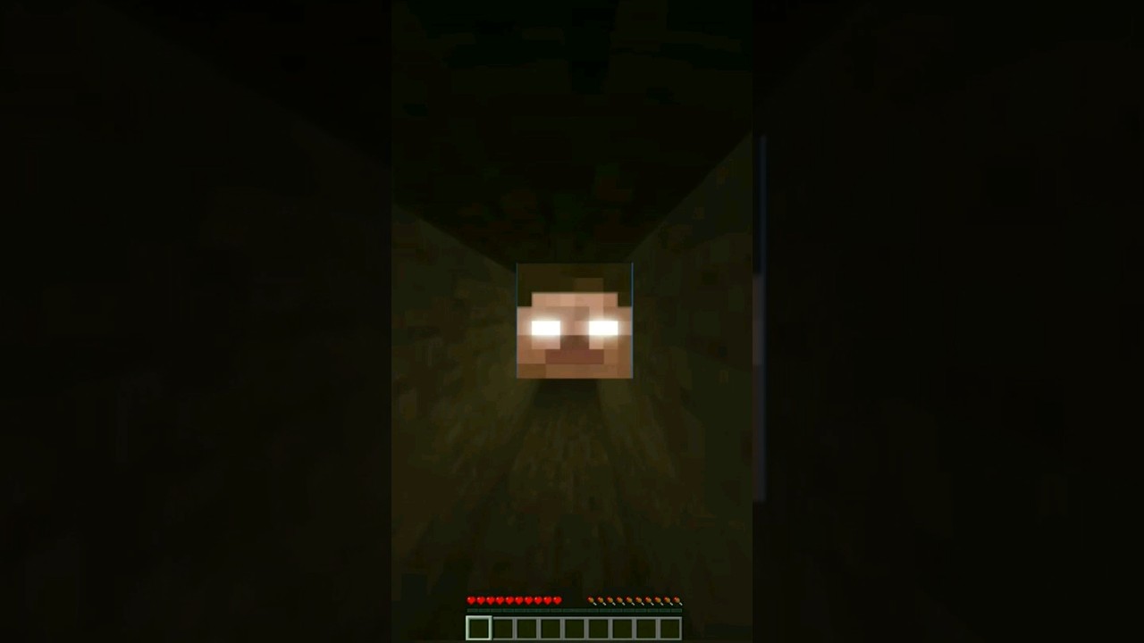 I found herobrine in Minecraft 