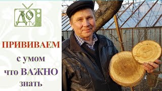 Про ПРИВИВКИ ПЛОДОВЫХ ДЕРЕВЬЕВ: ОТВЕЧАЮ на ГЛАВНЫЕ ВОПРОСЫ /немного ТЕОРИИ