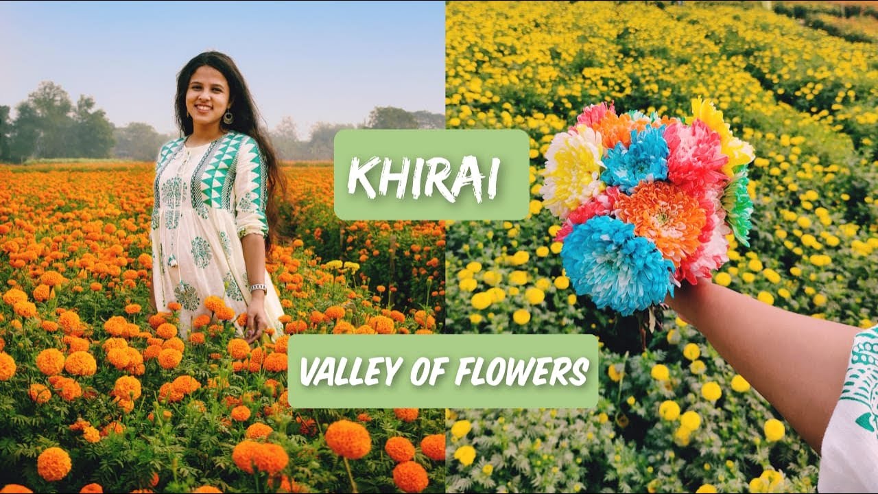 Khirai Flowers valley One day tour from Kolkata VALLEY OF FLOWERS