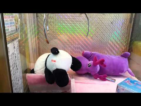 金神秘百元內夾娃娃-2016年5月2日