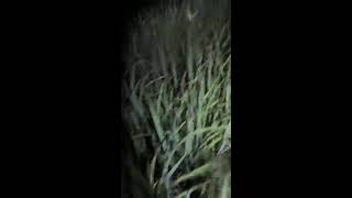Popular Live Fishing Video - Unique Fishing Skill - Fishing Video 2026 - Fishing Live