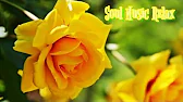 Soul Music Relax