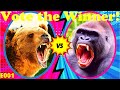 500 lb GRIZZLY vs 500 lb GORILLA - Who Would Win?