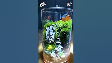 Unlock Home Elegance: DIY Miniature Terrarium Ideas for Stunning Decor #HomeDecor #DIYTerrarium