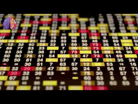 ازاي تحصل علي جائزه نوبل من كليه تجاره الحلقه التانيه