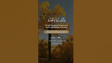 سورة فصلت [ 30 - 31 ] ~ الشيخ ياسر الدوسري