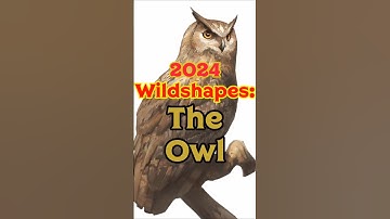2024 Wildshapes: The Owl