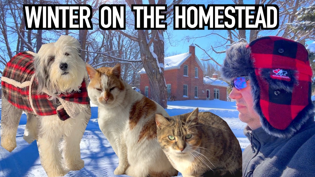 Winter on the Homestead: Stories & Chories