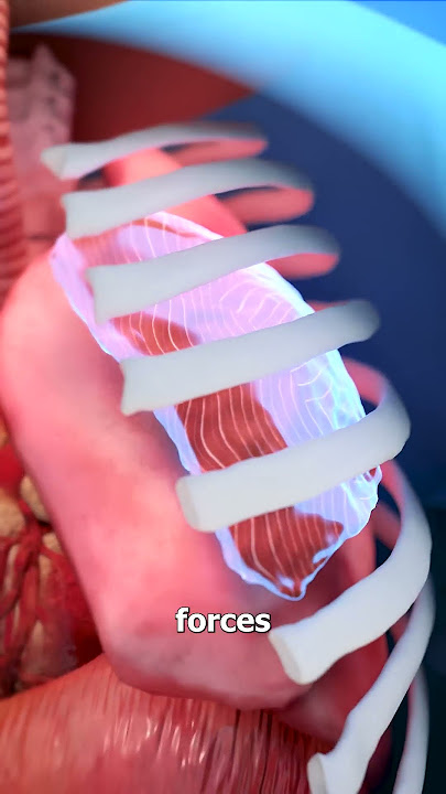 What Is Laughter? 😂