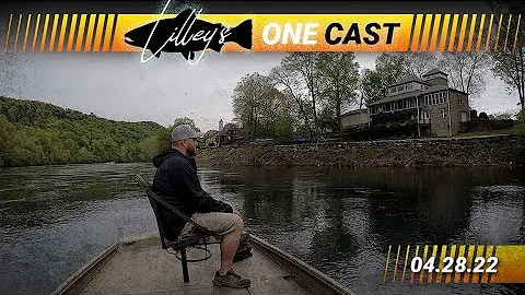 Lilley's One Cast, April 28