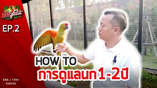 EP2.การดูแลนก1-2ปี (How to care birds for 1-2 year)