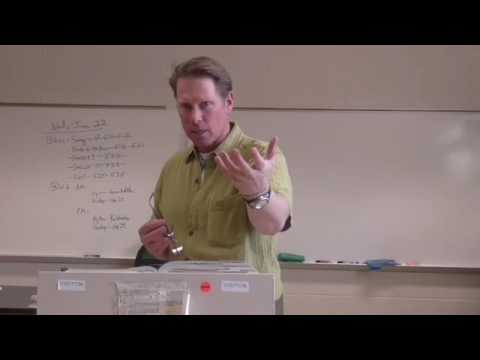 Sr A Milton S Paradise Lost C