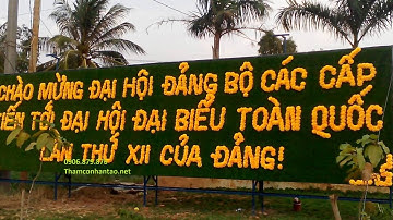 " Cỏ nhân tạo dán tường"