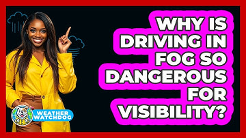 Why Is Driving In Fog So Dangerous For Visibility? - Weather Watchdog