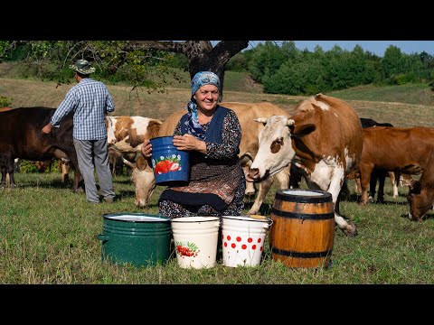 Video: Fromë qumështi në shtëpi?