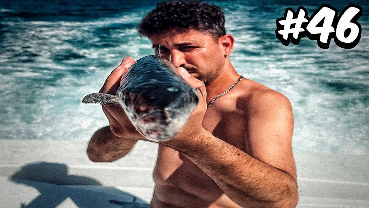 MOVEMIND MELHORES MOMENTOS 😂 #46