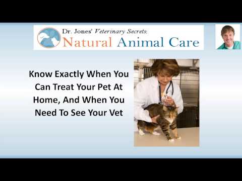 Natural Animal Care