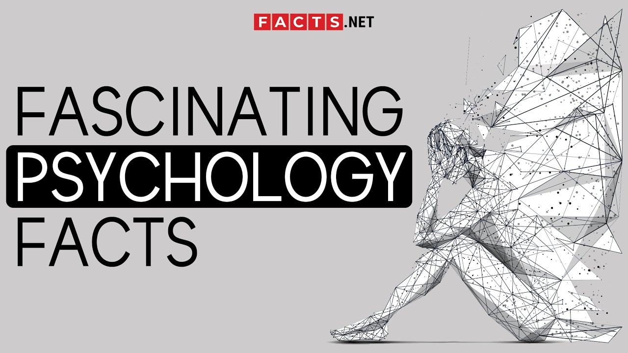 12 Intriguing Facts About Tag (Game) - History, Psychology, Events