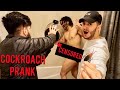 COCKROACH in shower PRANK **THIS IS HILARIOUS**